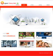 重慶元午商務信息咨詢網(wǎng)站建設案例解析