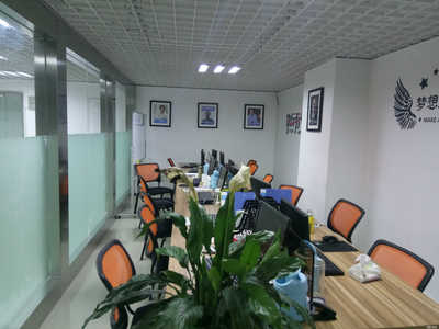 蘇州永真商務咨詢 專業(yè)商務信息咨詢服務解析